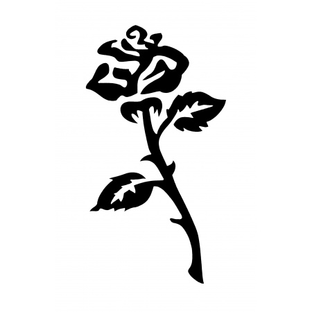 gsb17-31100_rose_perfect